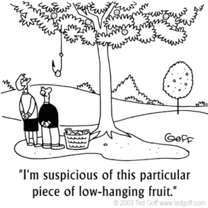Im-suspicious-of-this-piece-of-low-hanging-fruit4107
